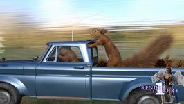 Truck Squirrels