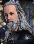 Odin Hair & Beard G8M